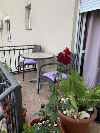 Апартаменты Apartmani Krgušić Тиват Апартаменты с 1 спальней-8